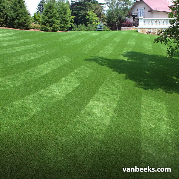 AGL Monte Carlo 60 Turf preview
